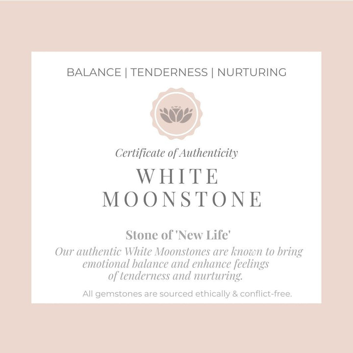 Moonstone Stud Earrings certificate