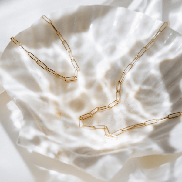waterproof paperclip "paris" necklace on sea shell
